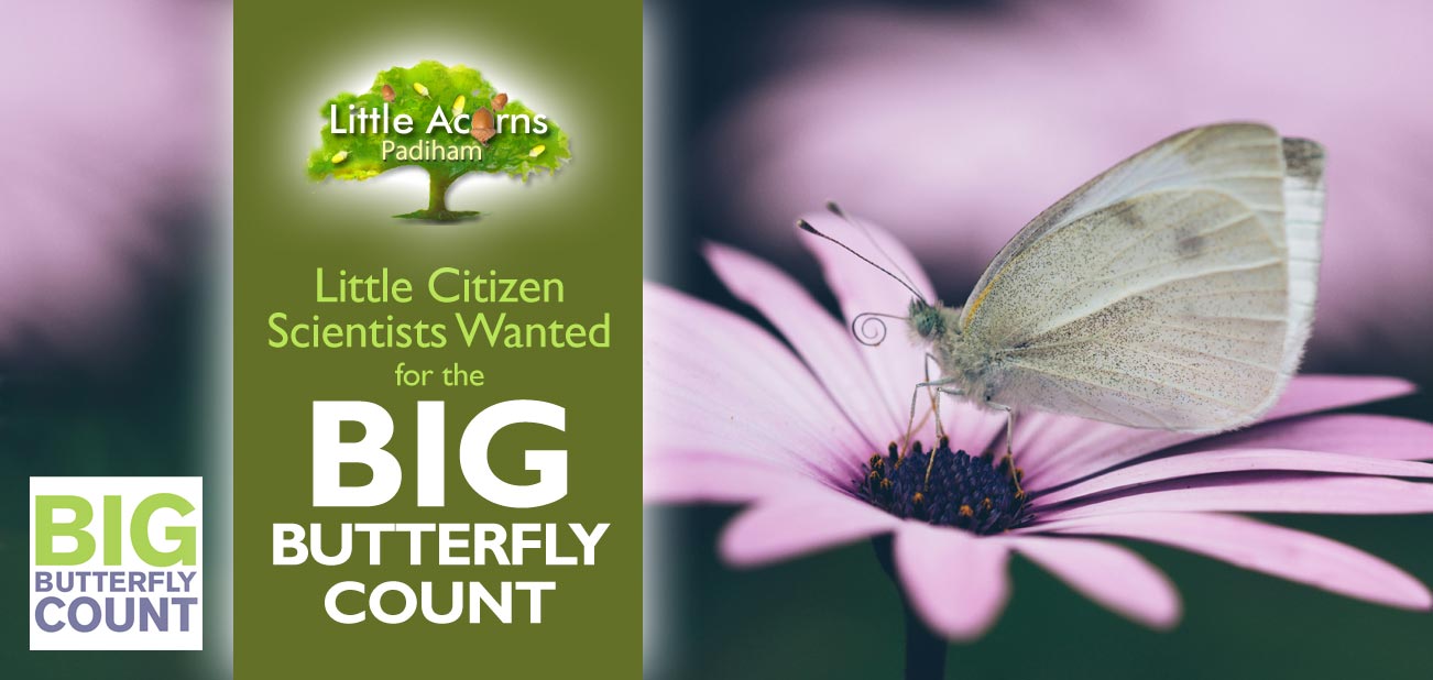 Little Citizen Scientists Wanted for the Big Butterfly Count